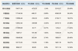 2024年公募基金行业盘点：万亿俱乐部扩容，百亿基金经理规模缩水