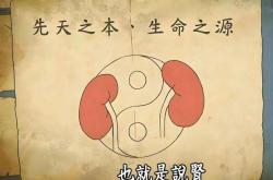 40+还能怀？高龄备孕逆袭，专家亲授“体质调理”秘籍！